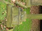 image of grave number 616931